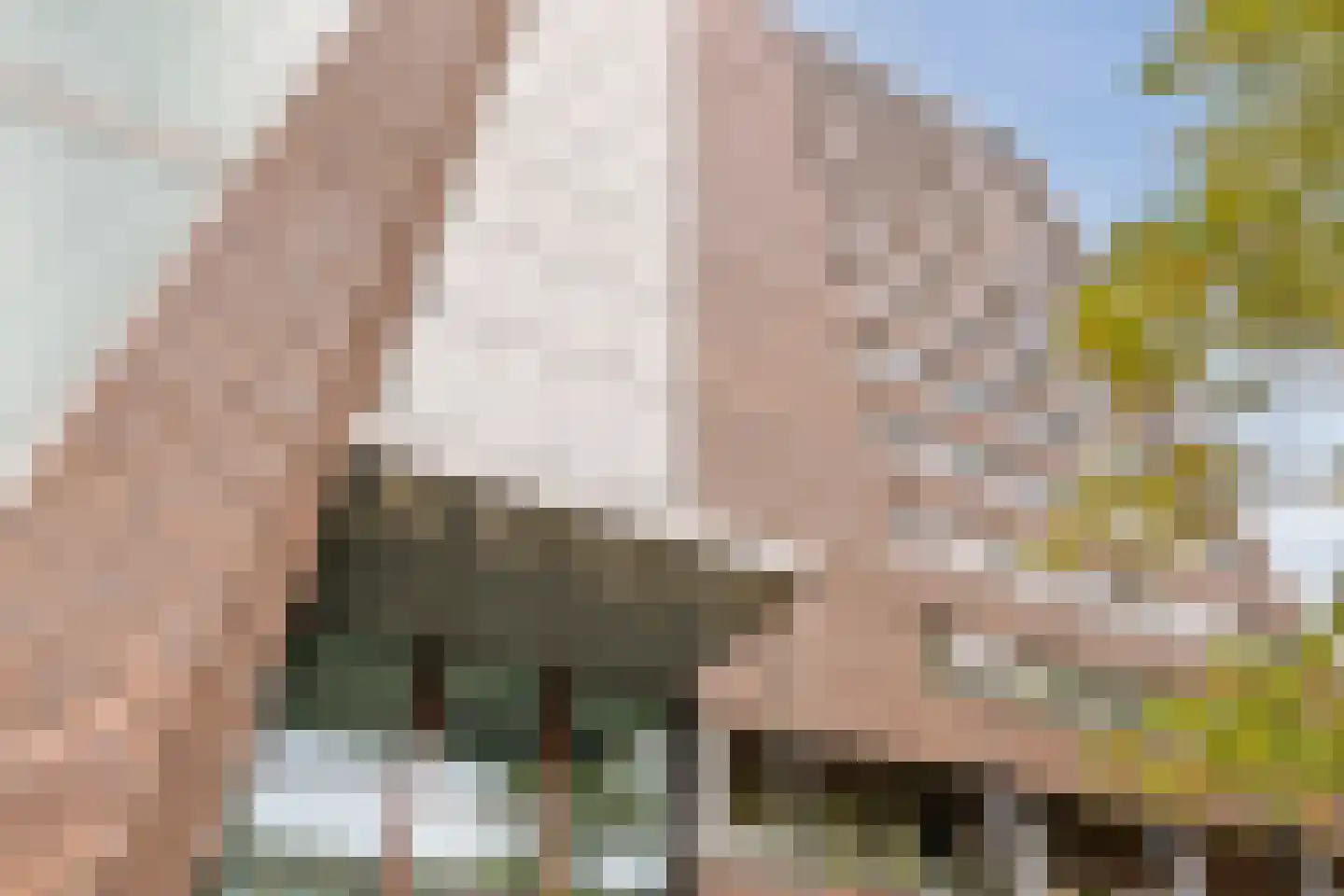 Herman Gorterlaan 616 Eindhoven thumbnail 7