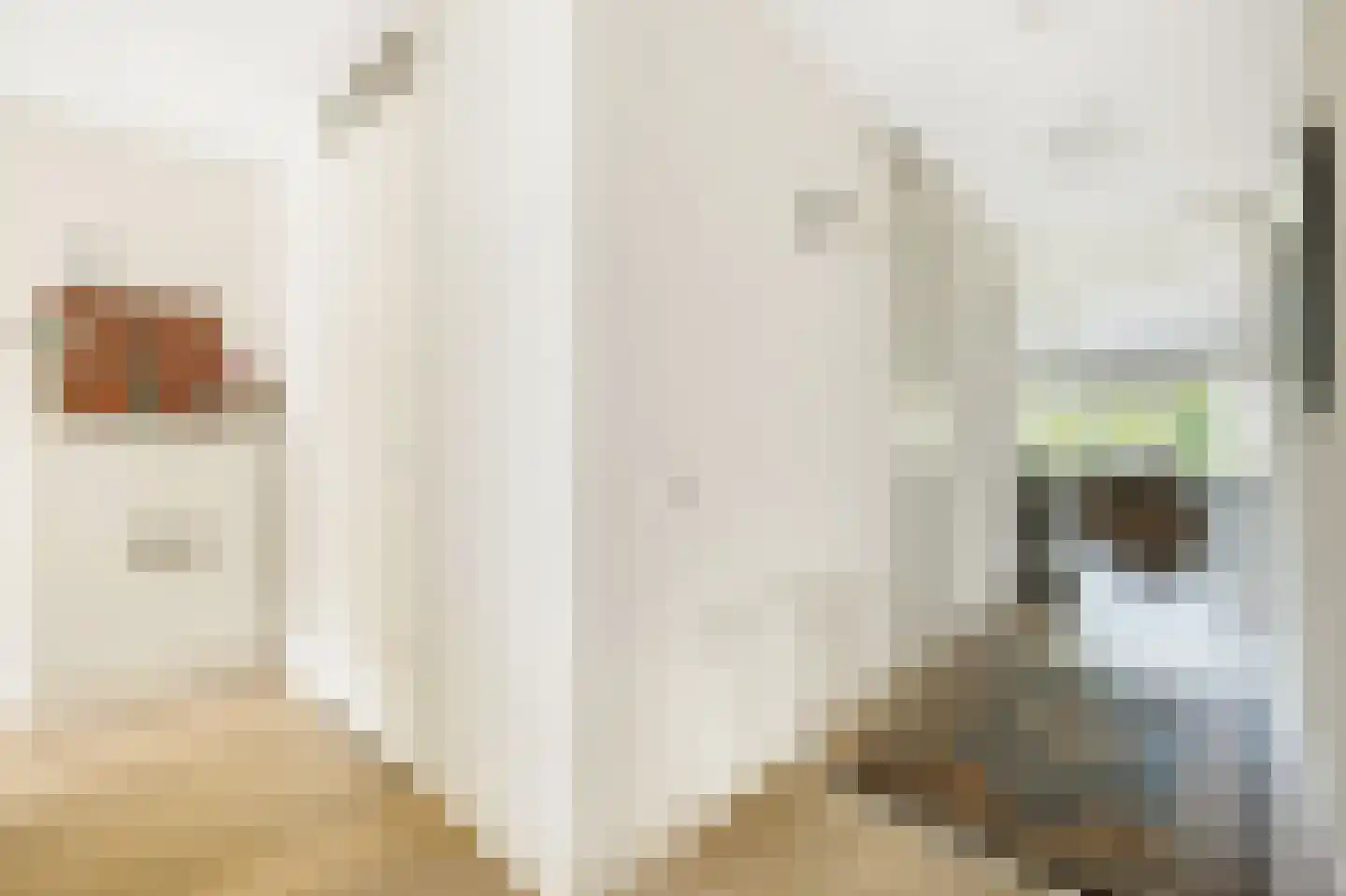 Herman Gorterlaan 630 Eindhoven thumbnail 11