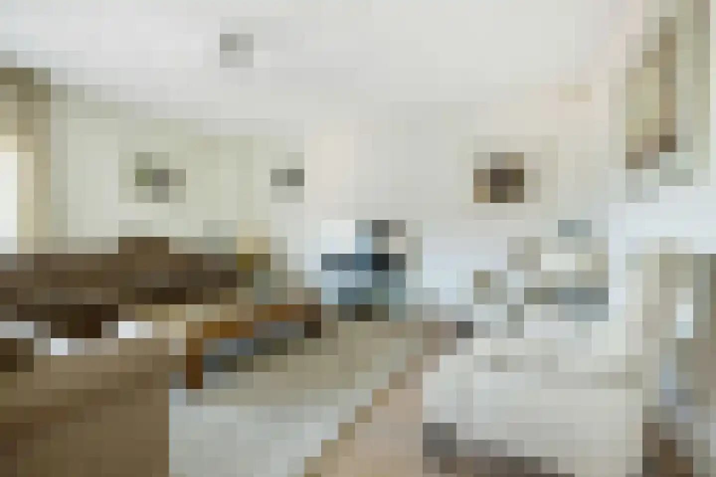 Herman Gorterlaan 630 Eindhoven thumbnail 12