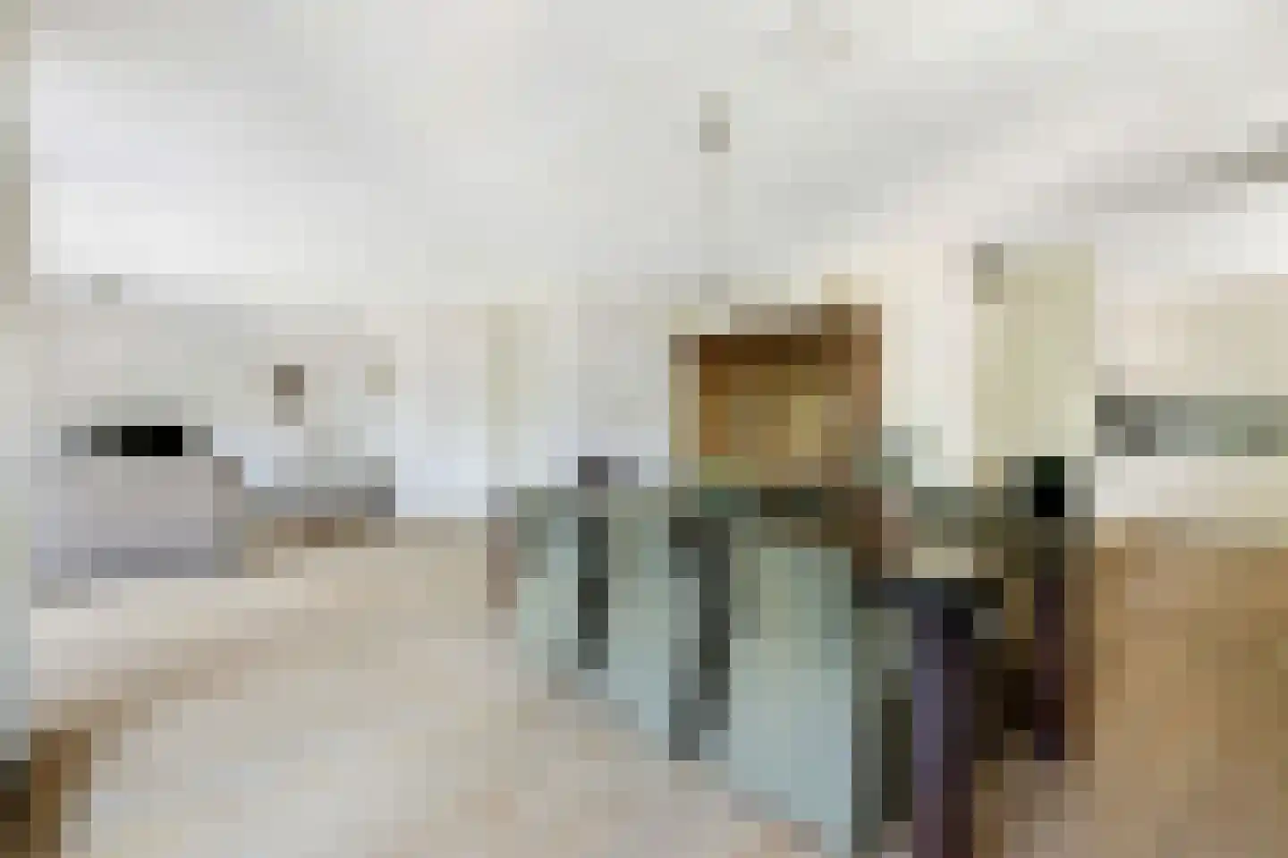 Herman Gorterlaan 630 Eindhoven thumbnail 15