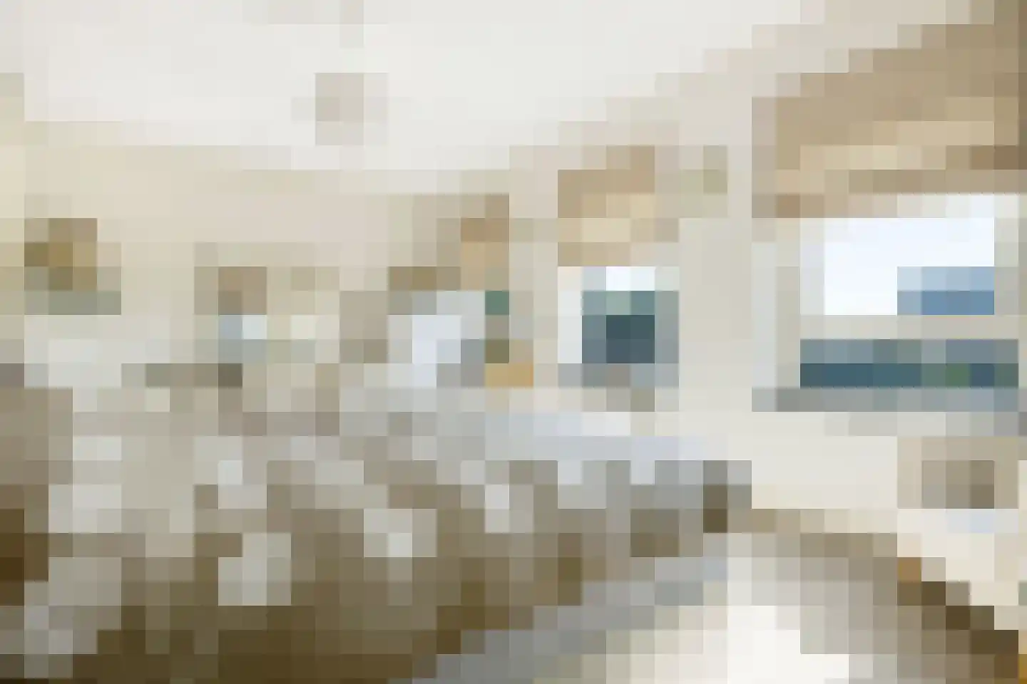 Herman Gorterlaan 630 Eindhoven thumbnail 21