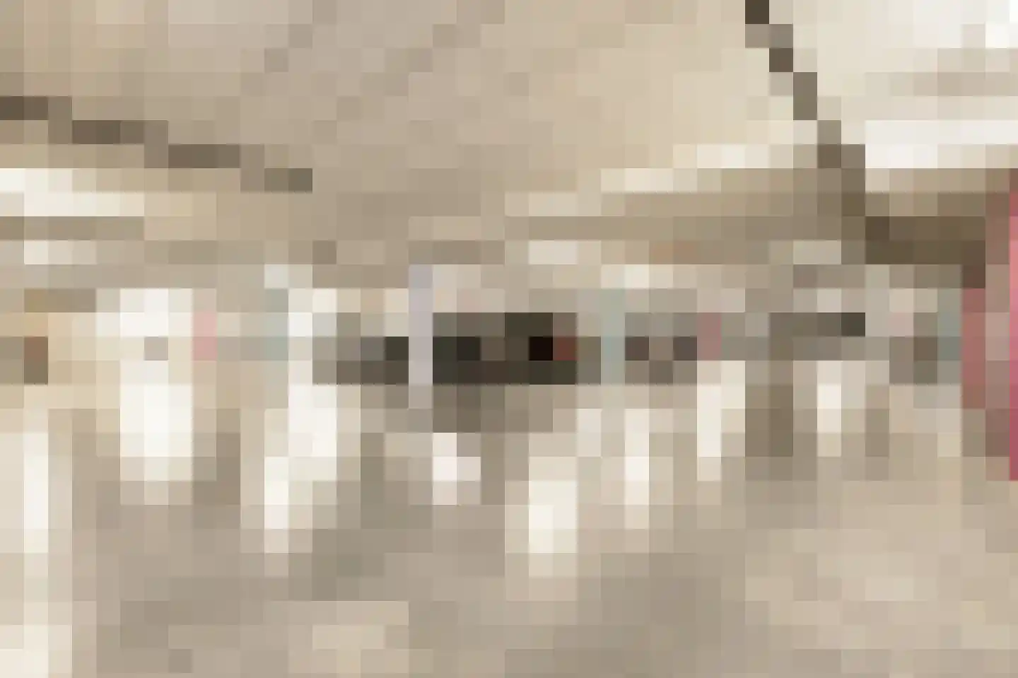 Herman Gorterlaan 630 Eindhoven thumbnail 27