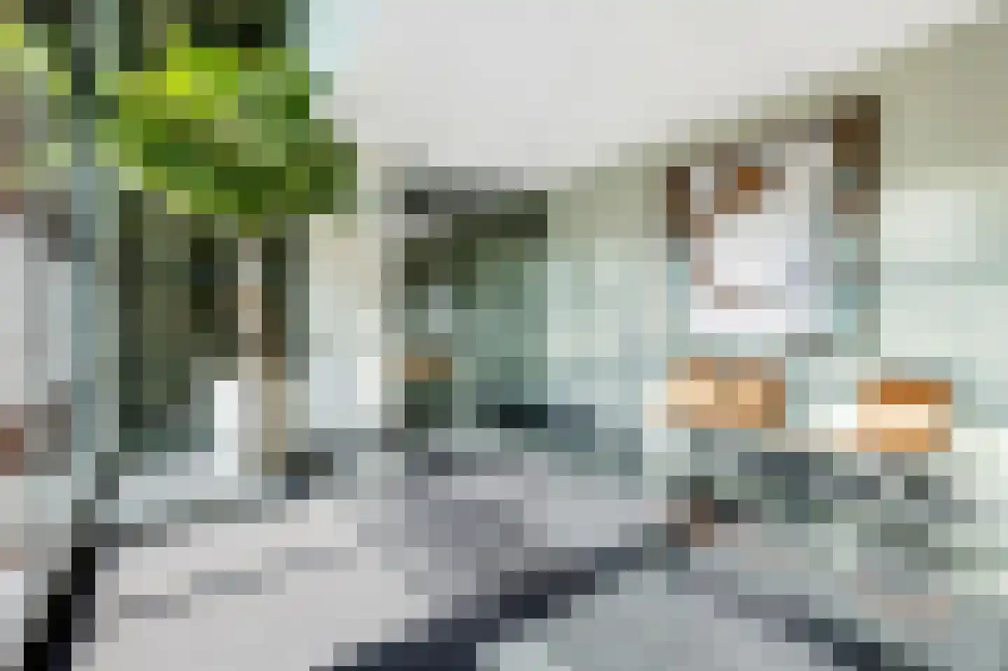 Herman Gorterlaan 630 Eindhoven thumbnail 7