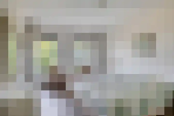 Herman Gorterlaan 640 Eindhoven thumbnail 11
