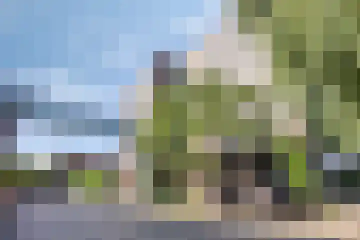 Herman Gorterlaan 640 Eindhoven thumbnail 15