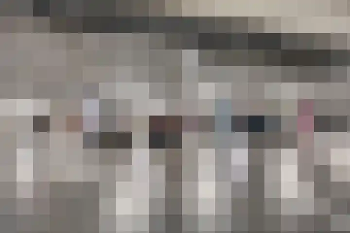 Herman Gorterlaan 640 Eindhoven thumbnail 19