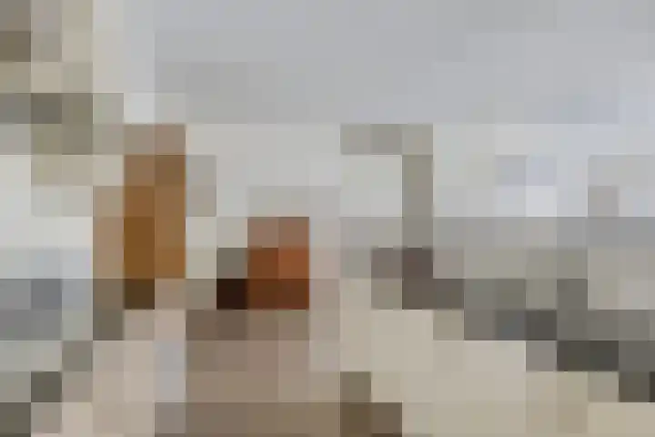 Herman Gorterlaan 640 Eindhoven thumbnail 4