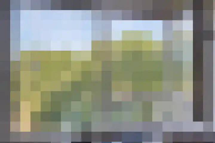 Herman Gorterlaan 640 Eindhoven thumbnail 6