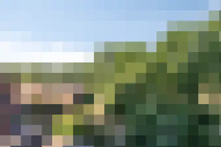 Herman Gorterlaan 640 Eindhoven thumbnail 8