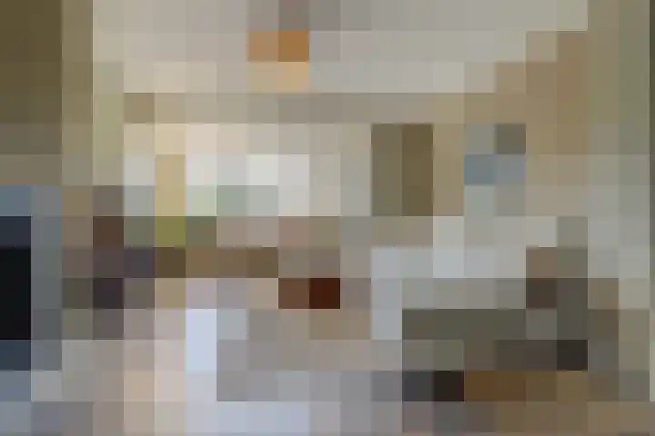 Herman Gorterlaan 7 Bladel thumbnail 11