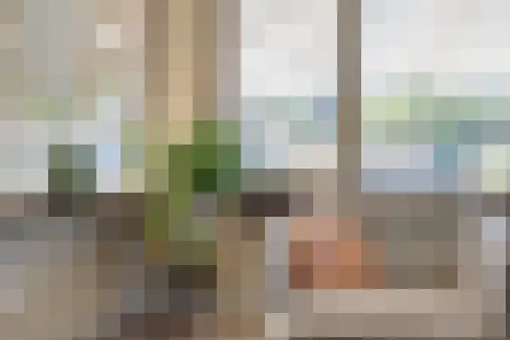 Herman Gorterlaan 7 Bladel thumbnail 13