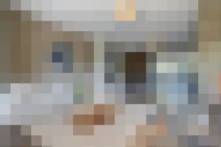 Herman Gorterlaan 7 Bladel thumbnail 14