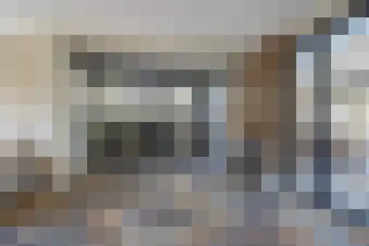 Herman Gorterlaan 7 Bladel thumbnail 20