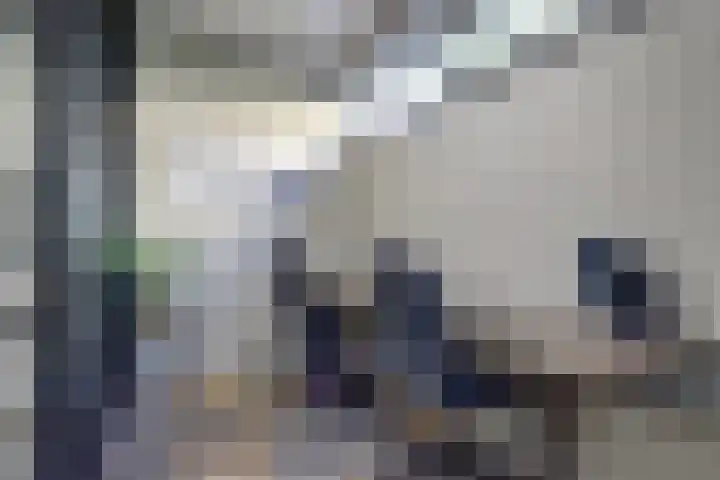 Herman Gorterlaan 7 Bladel thumbnail 23