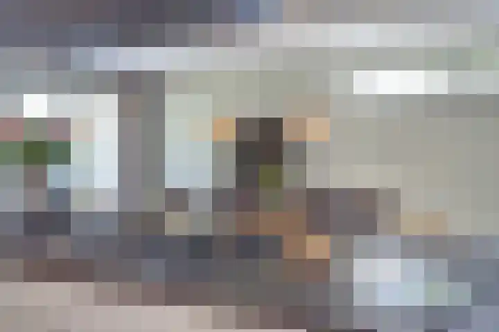 Herman Gorterlaan 7 Bladel thumbnail 28