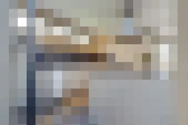 Herman Gorterlaan 7 Bladel thumbnail 30