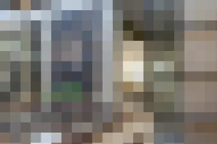 Herman Gorterlaan 7 Bladel thumbnail 32