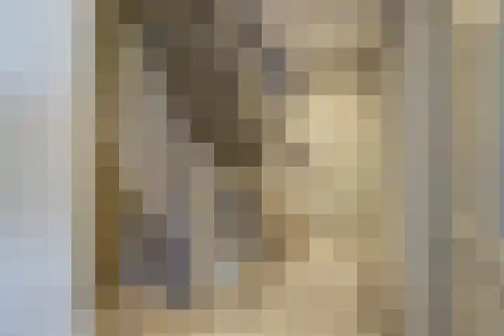 Herman Gorterlaan 7 Bladel thumbnail 39