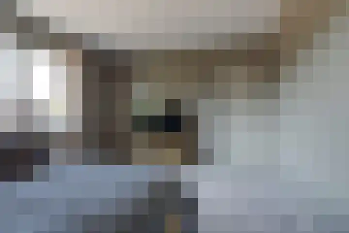 Herman Gorterlaan 7 Bladel thumbnail 42