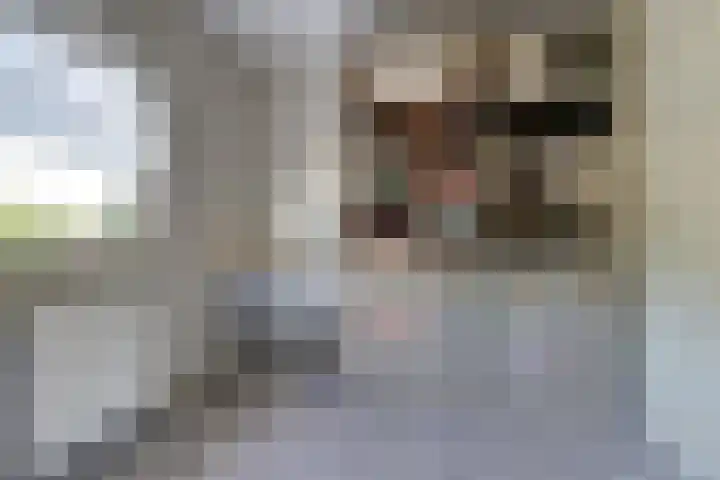 Herman Gorterlaan 7 Bladel thumbnail 47