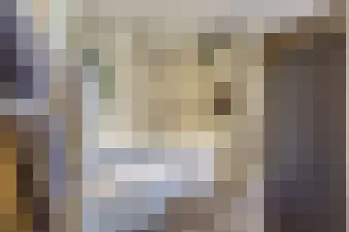 Herman Gorterlaan 7 Bladel thumbnail 48