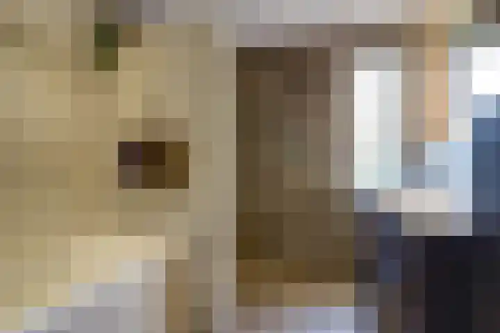 Herman Gorterlaan 7 Bladel thumbnail 49