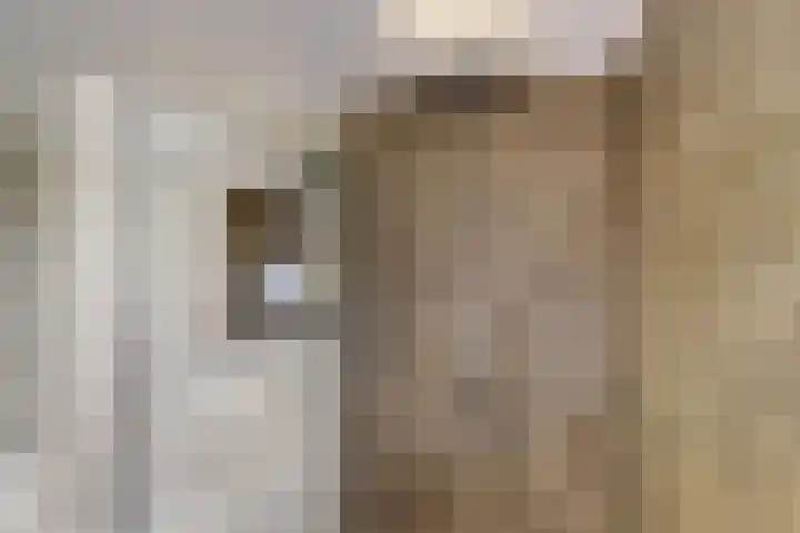 Herman Gorterlaan 7 Bladel thumbnail 51