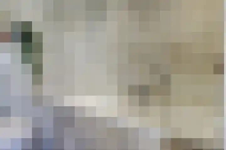 Herman Gorterlaan 7 Bladel thumbnail 52