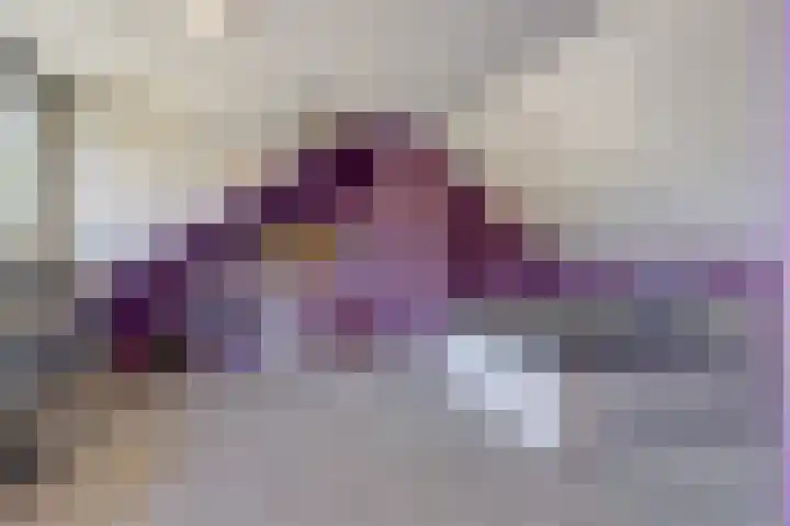 Herman Gorterlaan 7 Bladel thumbnail 55