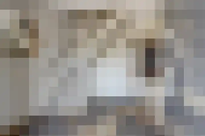 Herman Gorterlaan 7 Bladel thumbnail 6