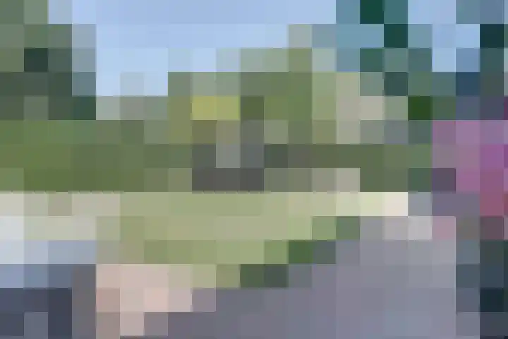 Herman Gorterlaan 7 Bladel thumbnail 64