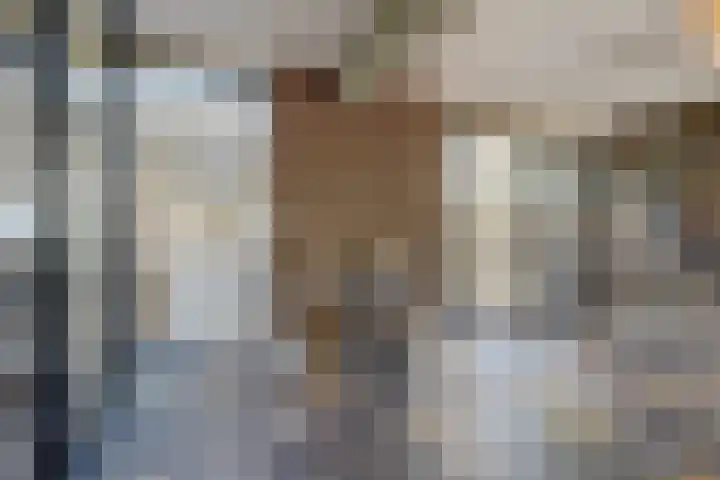 Herman Gorterlaan 7 Bladel thumbnail 7