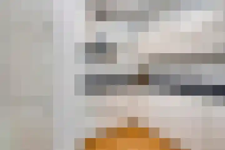 Herman Gorterlaan 7 Eindhoven thumbnail 15