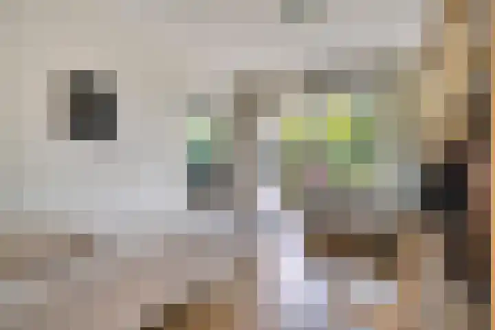 Herman Gorterlaan 7 Eindhoven thumbnail 17