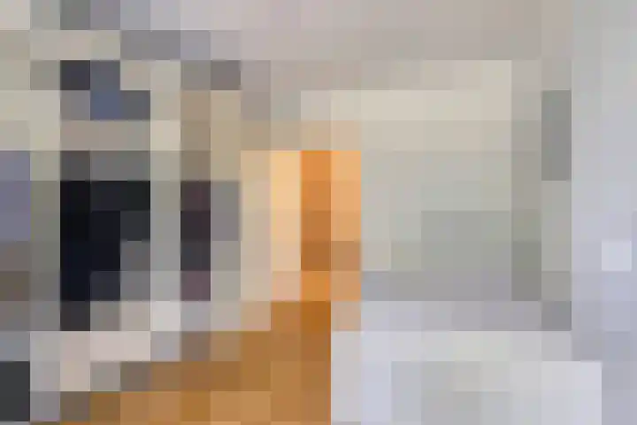 Herman Gorterlaan 7 Eindhoven thumbnail 18