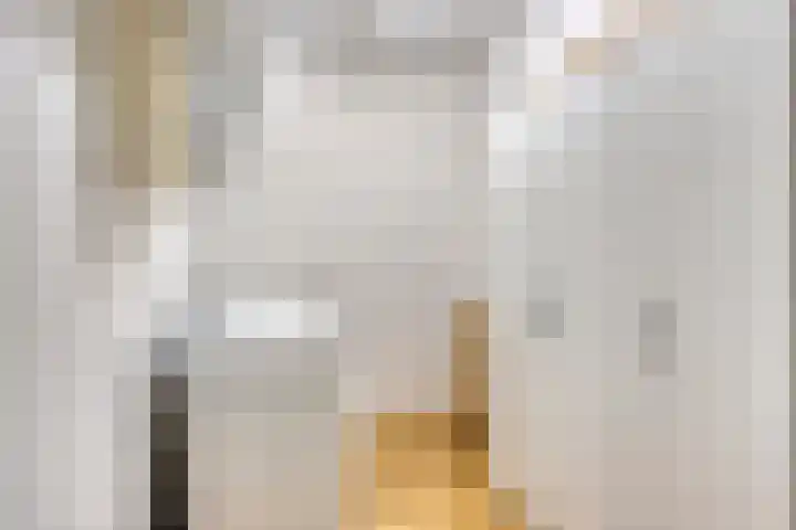 Herman Gorterlaan 7 Eindhoven thumbnail 20