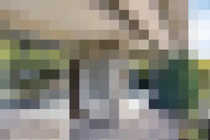 Herman Gorterlaan 7 Eindhoven thumbnail 22