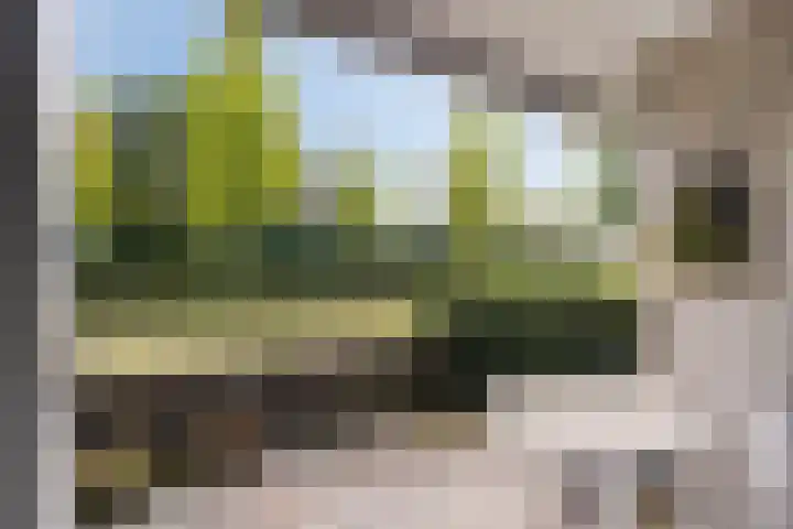 Herman Gorterlaan 7 Eindhoven thumbnail 5