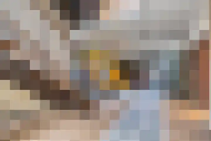 Herman Gorterlaan 7 Eindhoven thumbnail 7
