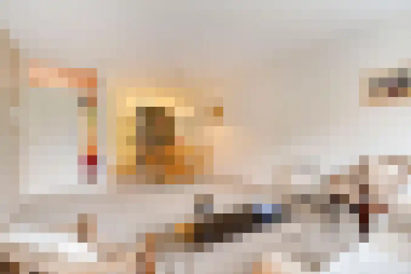 Herman Gorterlaan 75 Eindhoven thumbnail 11