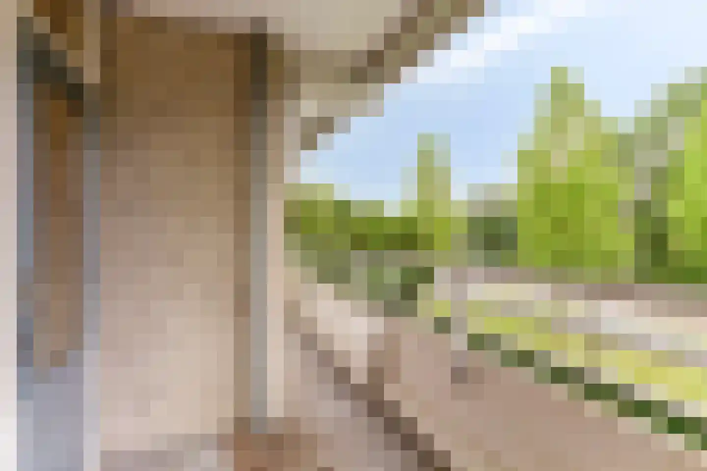 Herman Gorterlaan 75 Eindhoven thumbnail 19