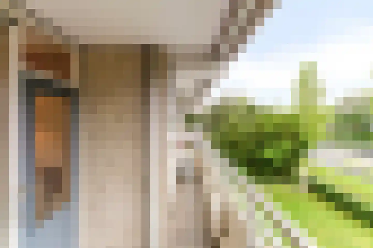Herman Gorterlaan 75 Eindhoven thumbnail 20