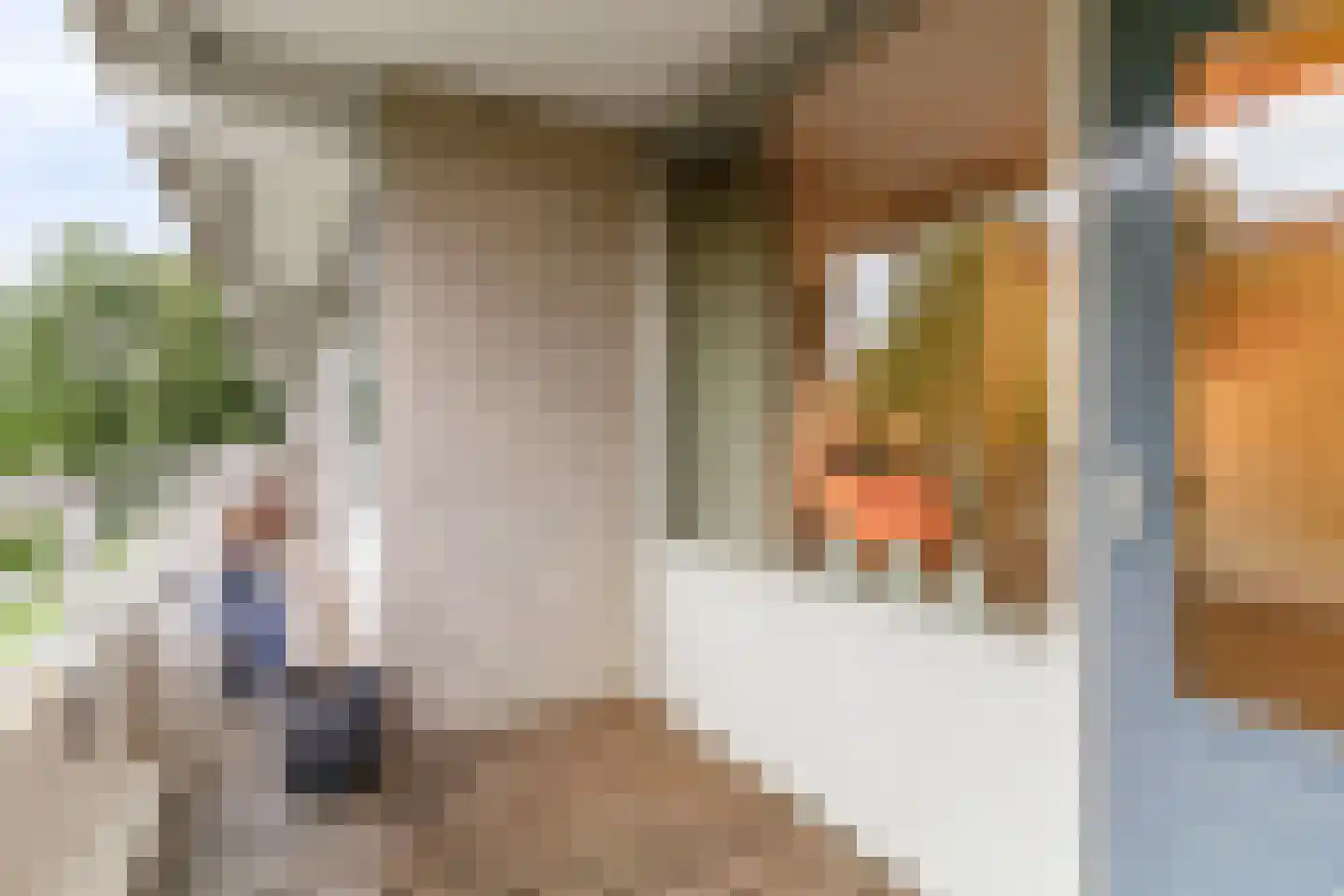 Herman Gorterlaan 75 Eindhoven thumbnail 24