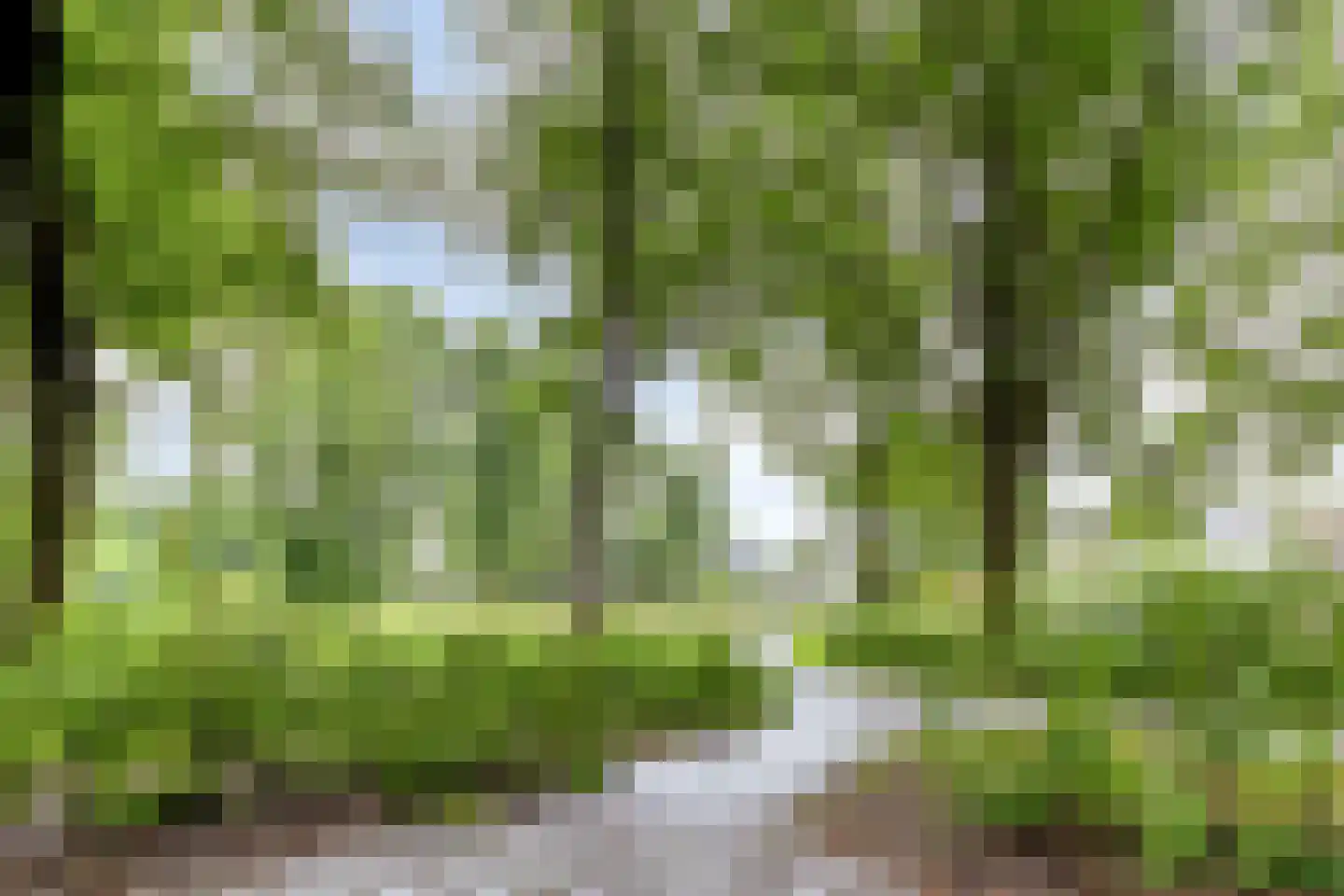 Herman Gorterlaan 75 Eindhoven thumbnail 30