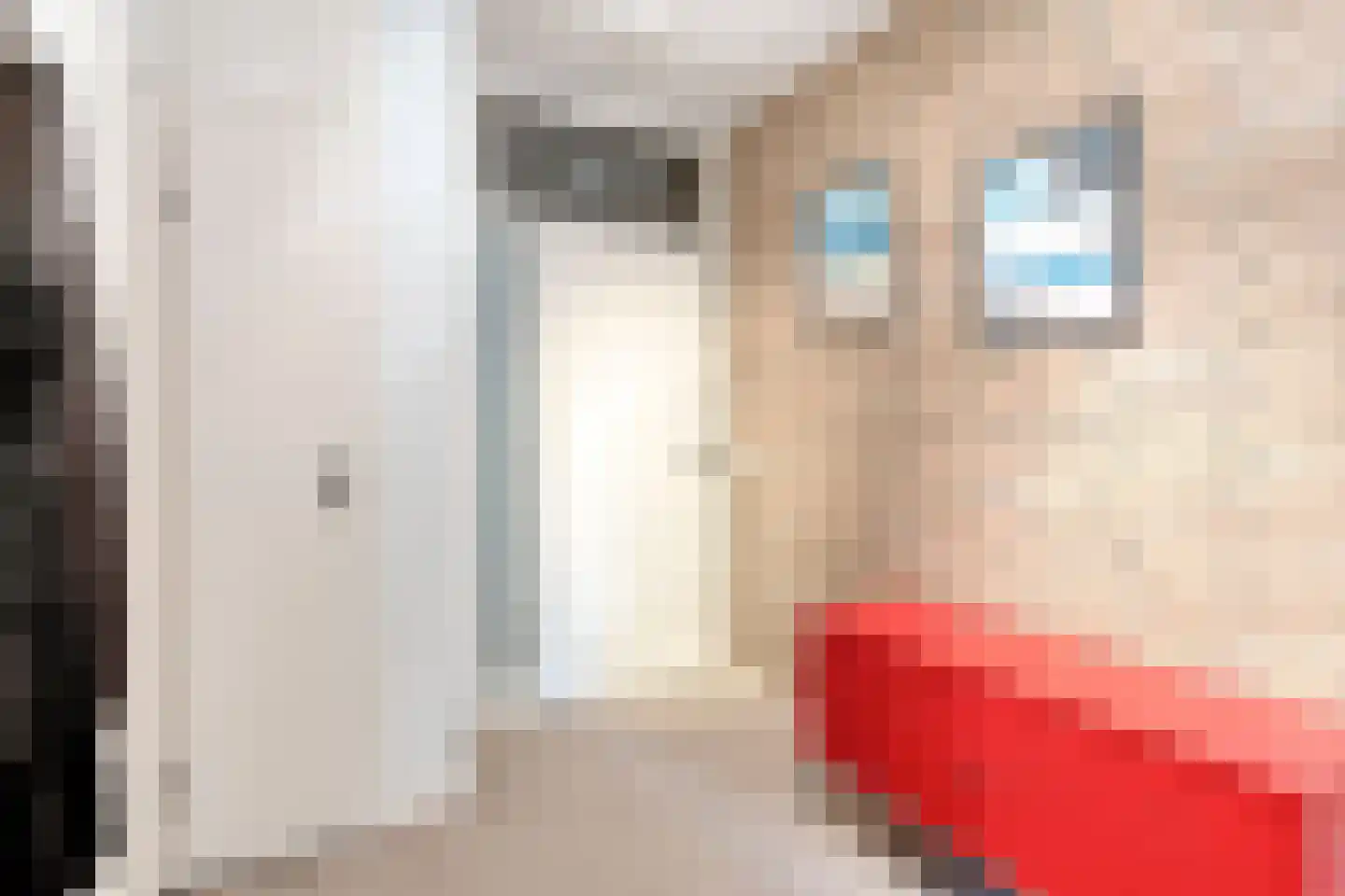 Herman Gorterlaan 75 Eindhoven thumbnail 9