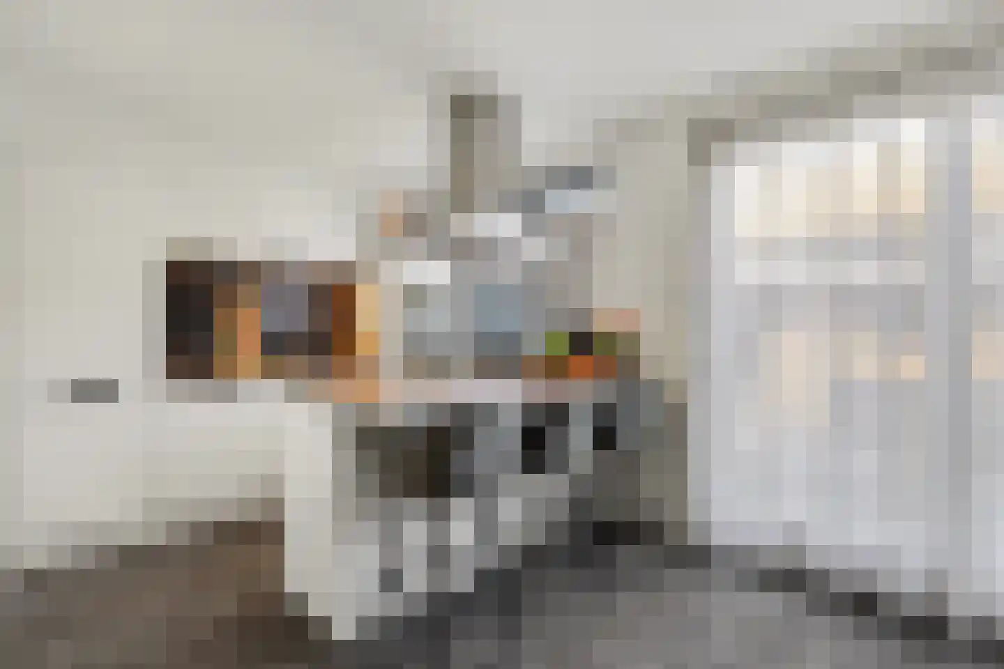 Herman Gorterlaan 9 Raamsdonksveer thumbnail 14
