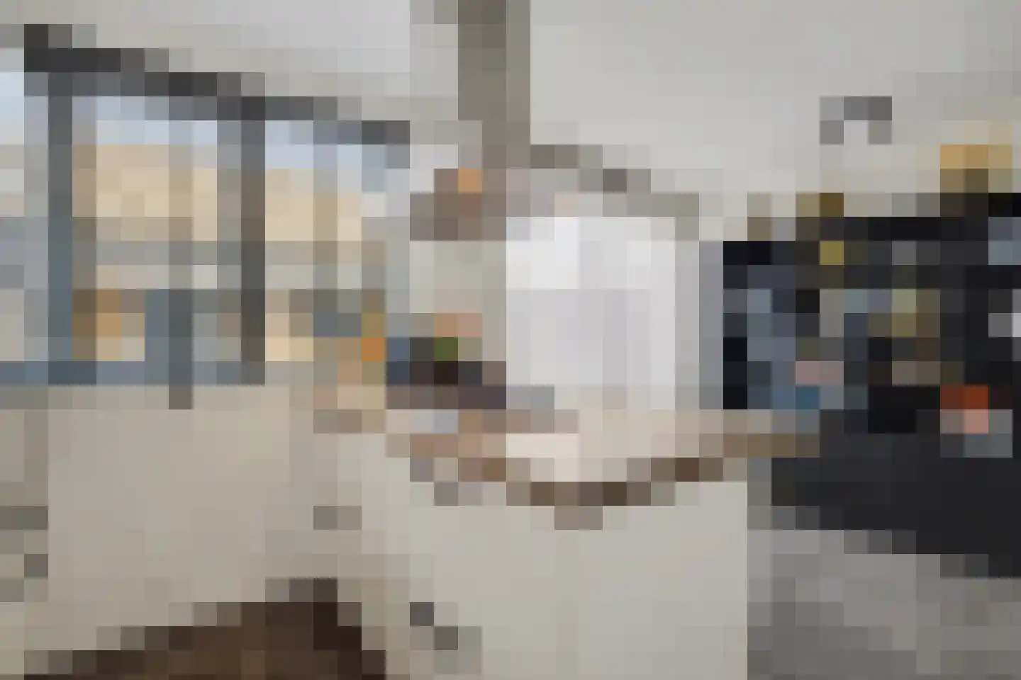 Herman Gorterlaan 9 Raamsdonksveer thumbnail 15