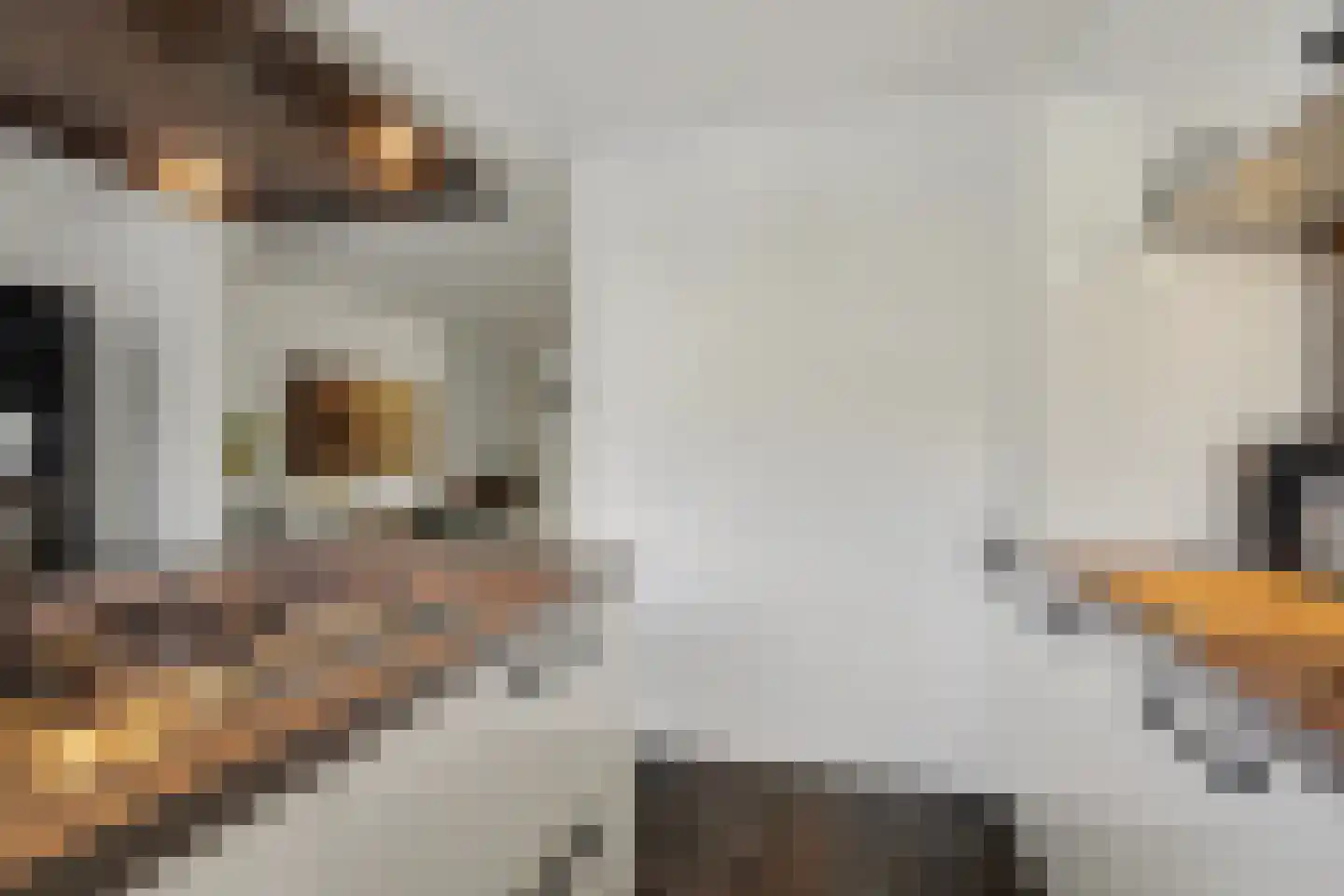 Herman Gorterlaan 9 Raamsdonksveer thumbnail 16