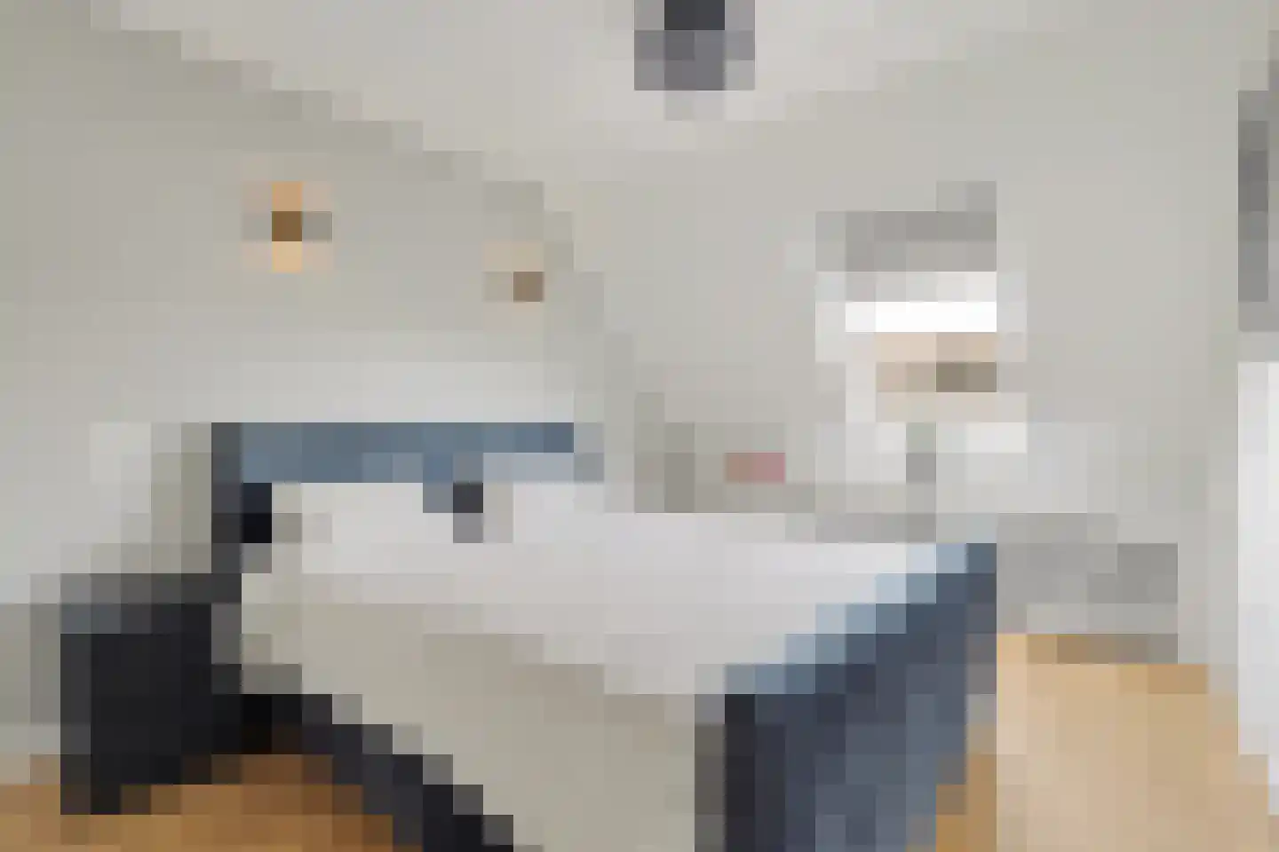 Herman Gorterlaan 9 Raamsdonksveer thumbnail 19