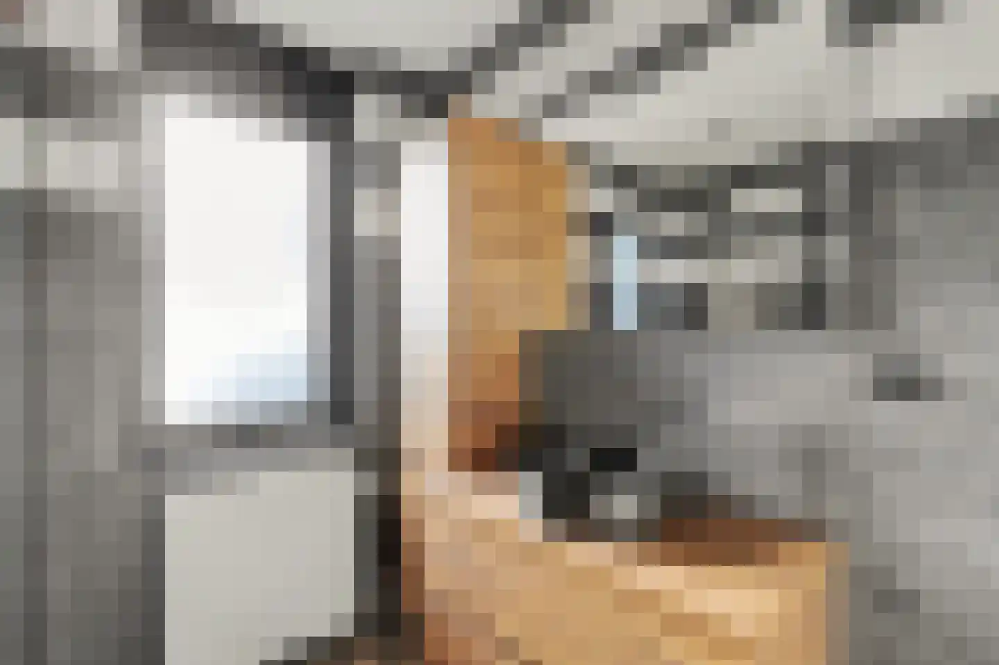 Herman Gorterlaan 9 Raamsdonksveer thumbnail 26